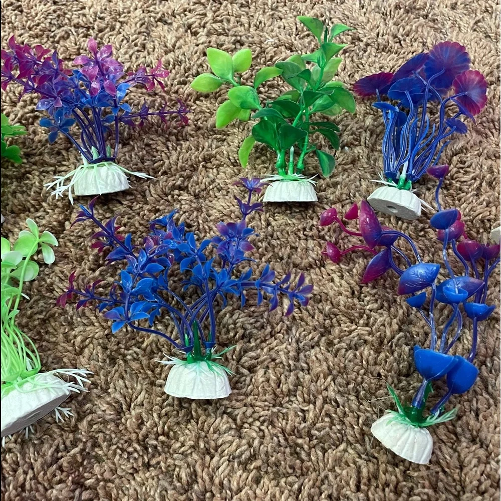 assortment of fish tank plants